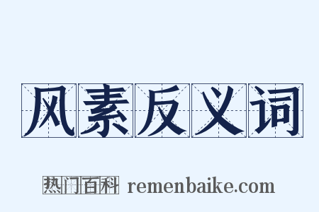 风素反义词是什么意思的图片